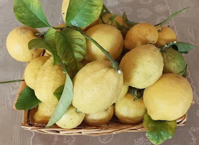 Dimora Di Meglio A Un Passo Dal Mare Forio di Ischia